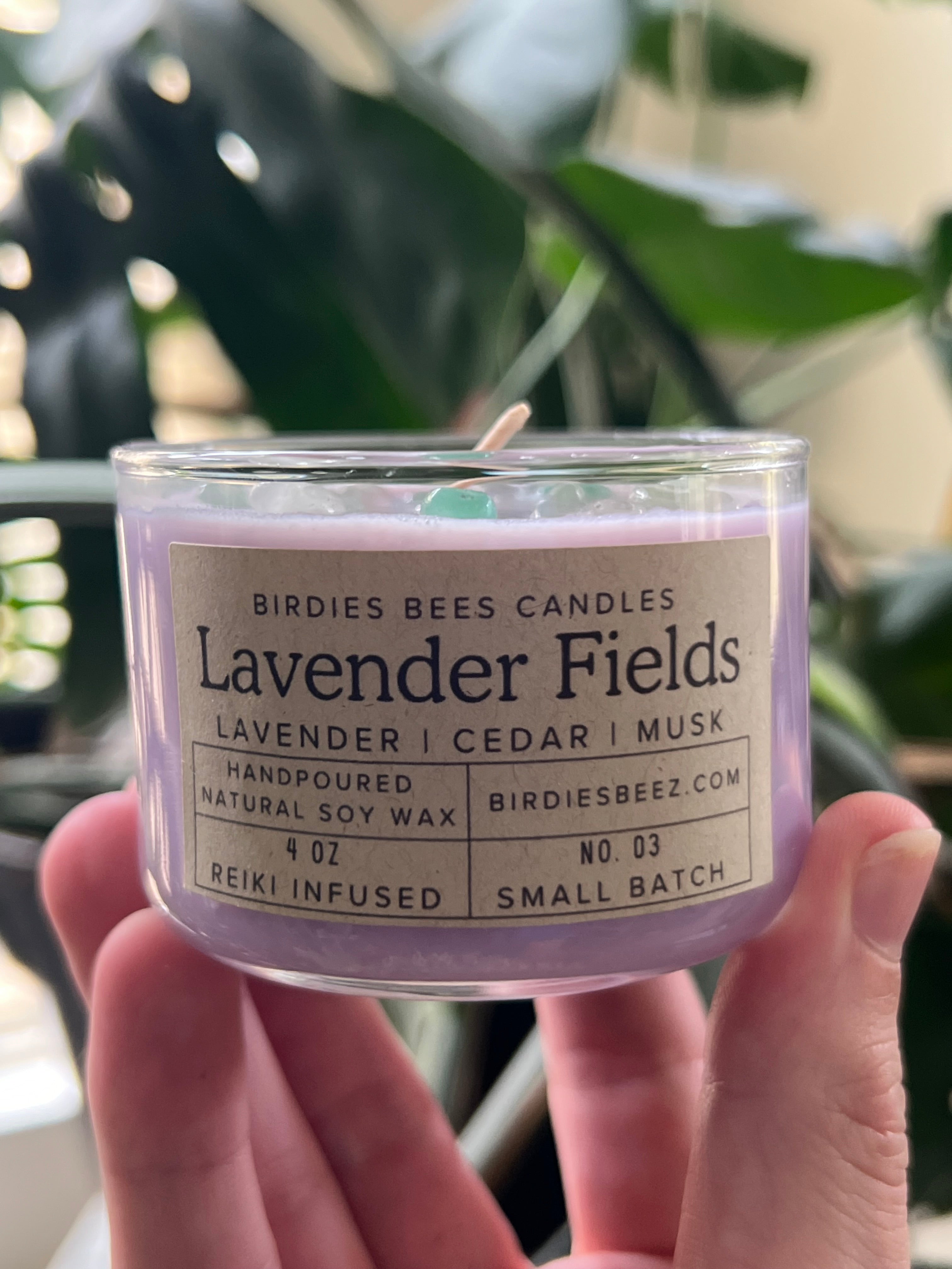 Lavender Fields Candle 4 oz. | Lavender, Eucalyptus & Cedar Scent