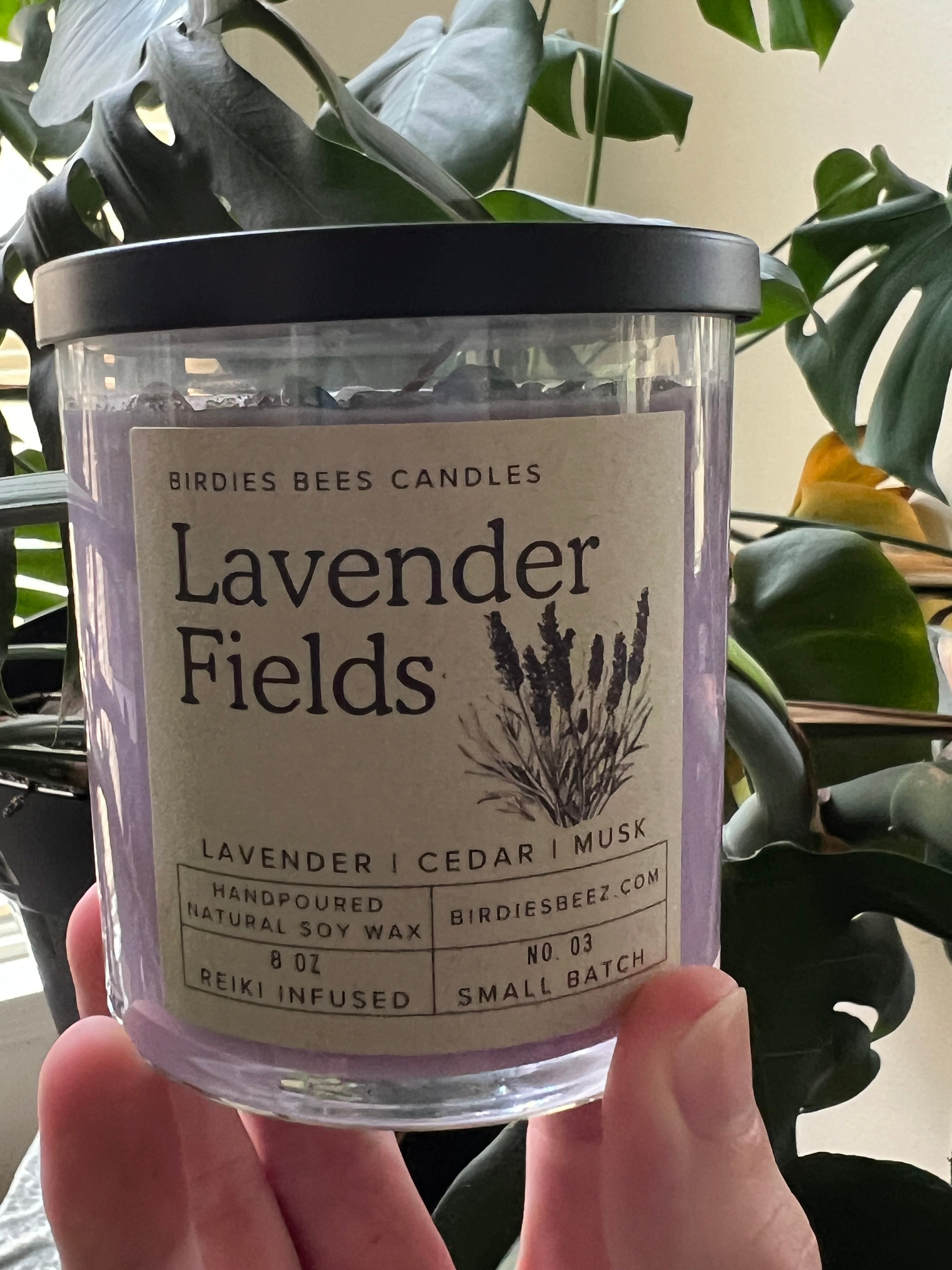 Lavender Fields Candle 8 oz. | Lavender, Eucalyptus & Cedar Scen
