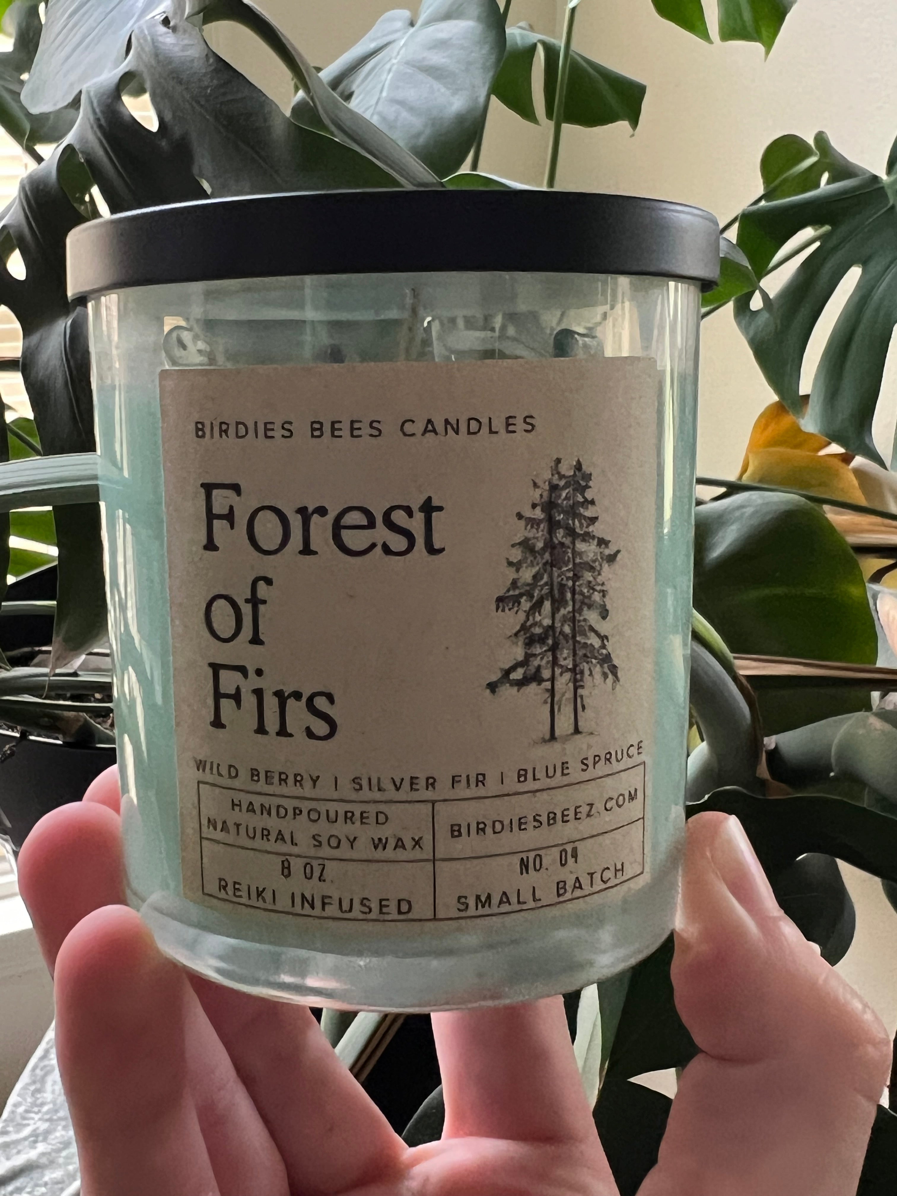 Forest of Firs Candle 8 oz. | Wild Berry, Silver Fir & Blue Spruce