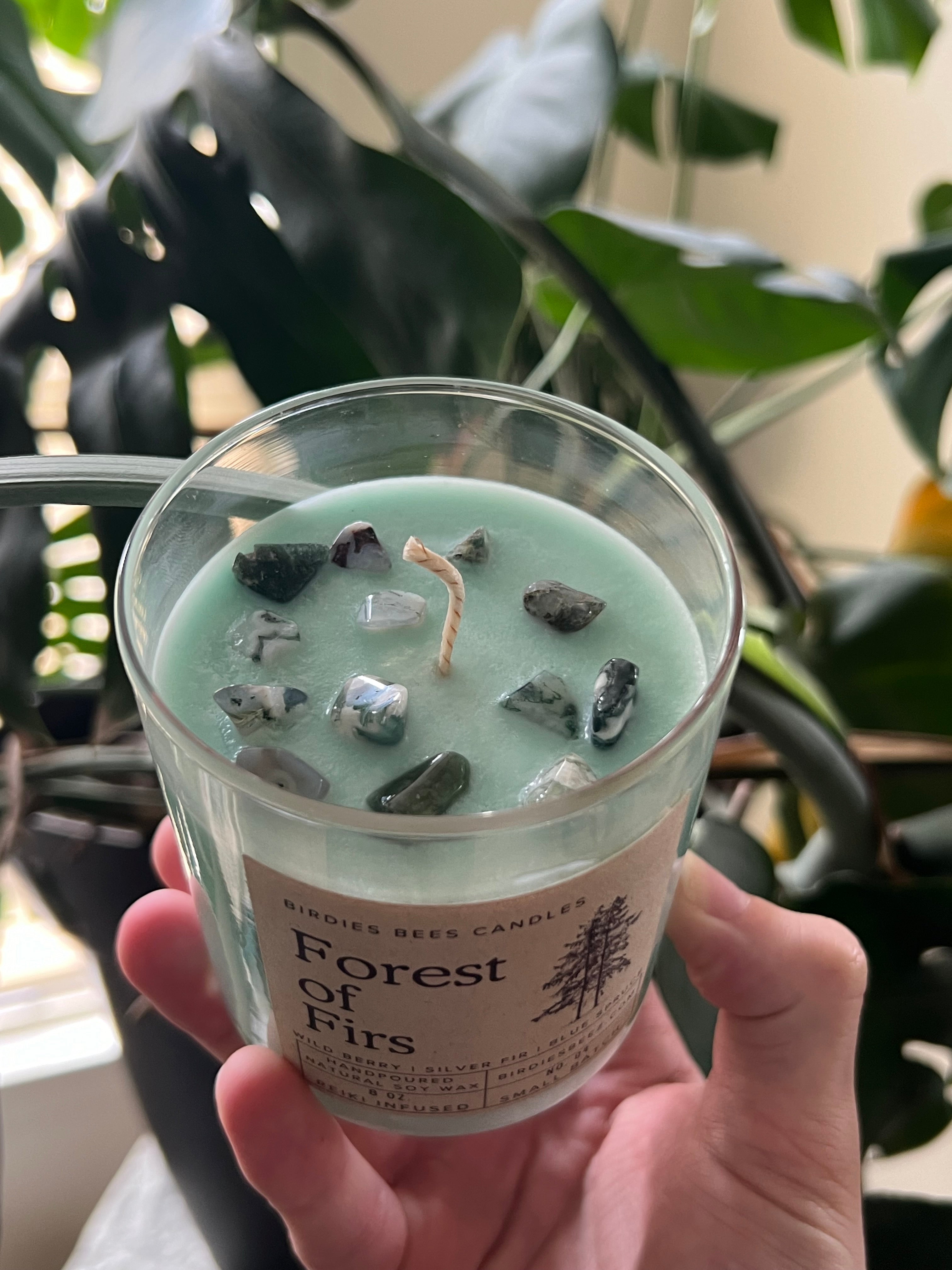 Forest of Firs Candle 8 oz. | Wild Berry, Silver Fir & Blue Spruce