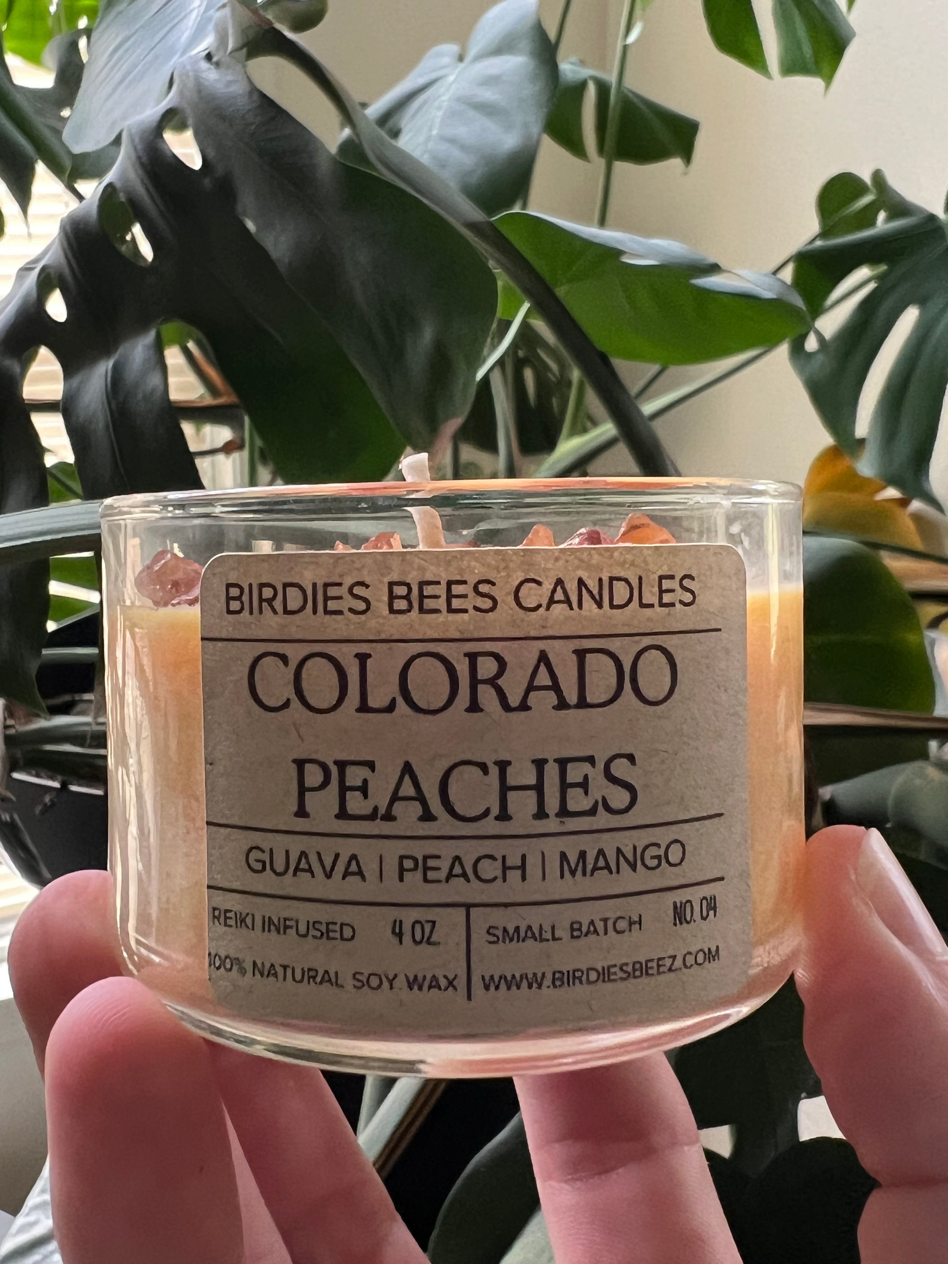Colorado Peaches Candle 4 oz. | Peach, Guava & Mango