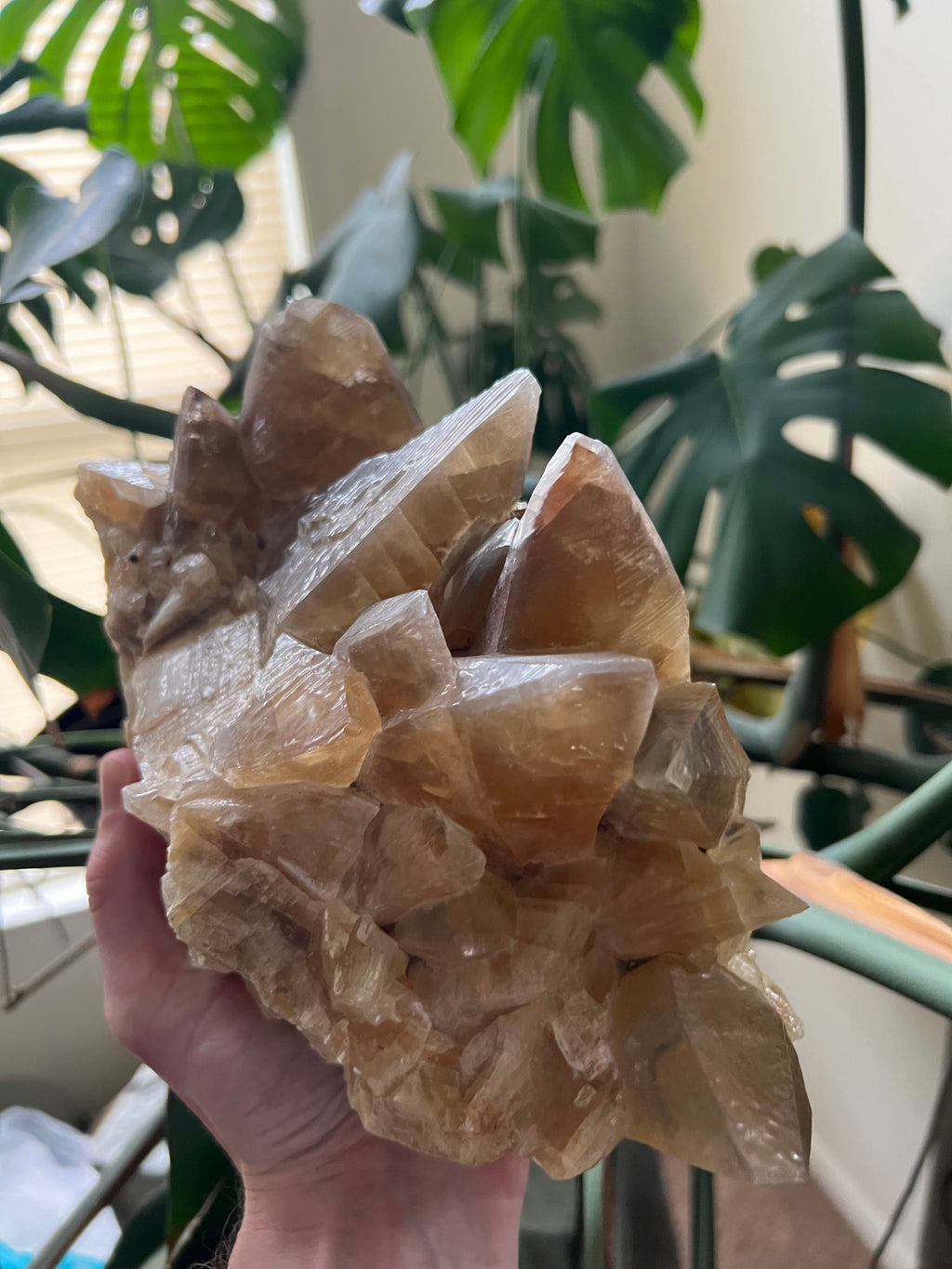 Dog Tooth Honey Calcite Cluster (12lbs)