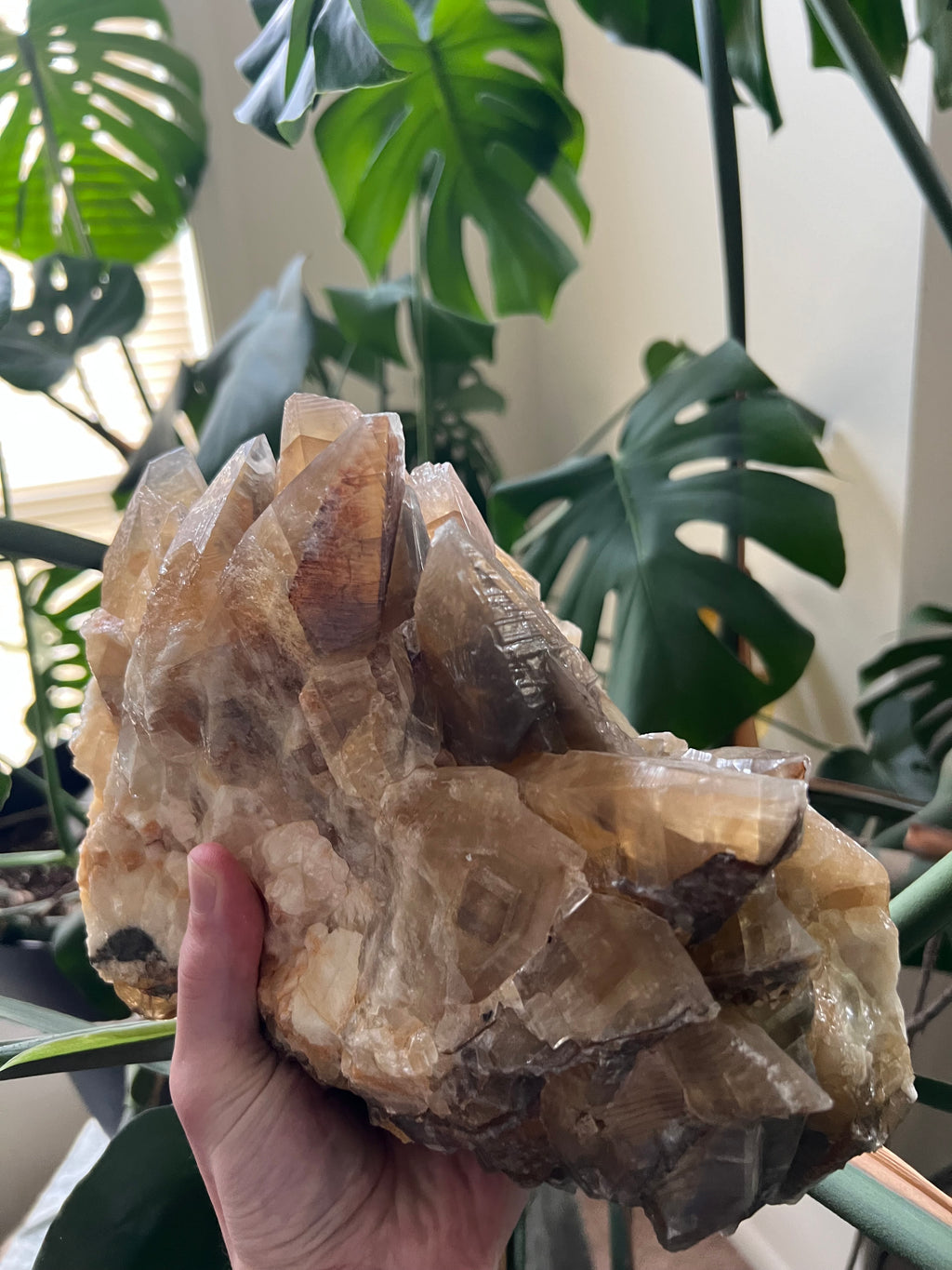 Dog Tooth Honey Calcite Cluster (12lbs)