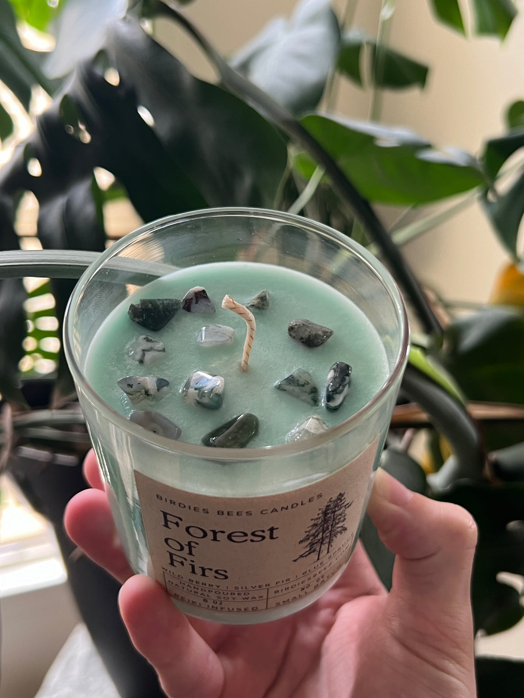 Forest of Firs Candle 8 oz. | Wild Berry, Silver Fir & Blue Spruce