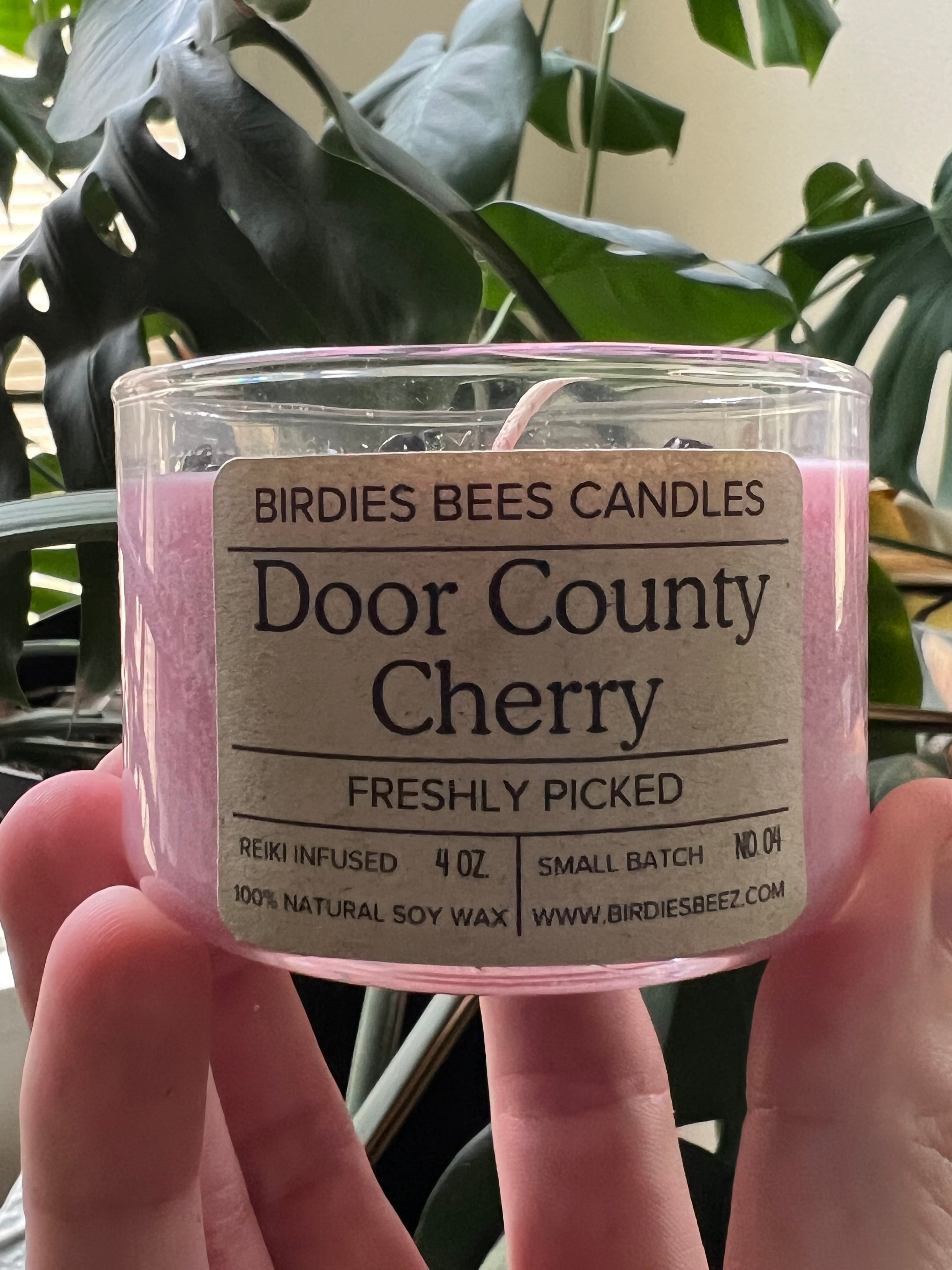 Door County Cherry Candle 4 oz. | Black Cherry Scent