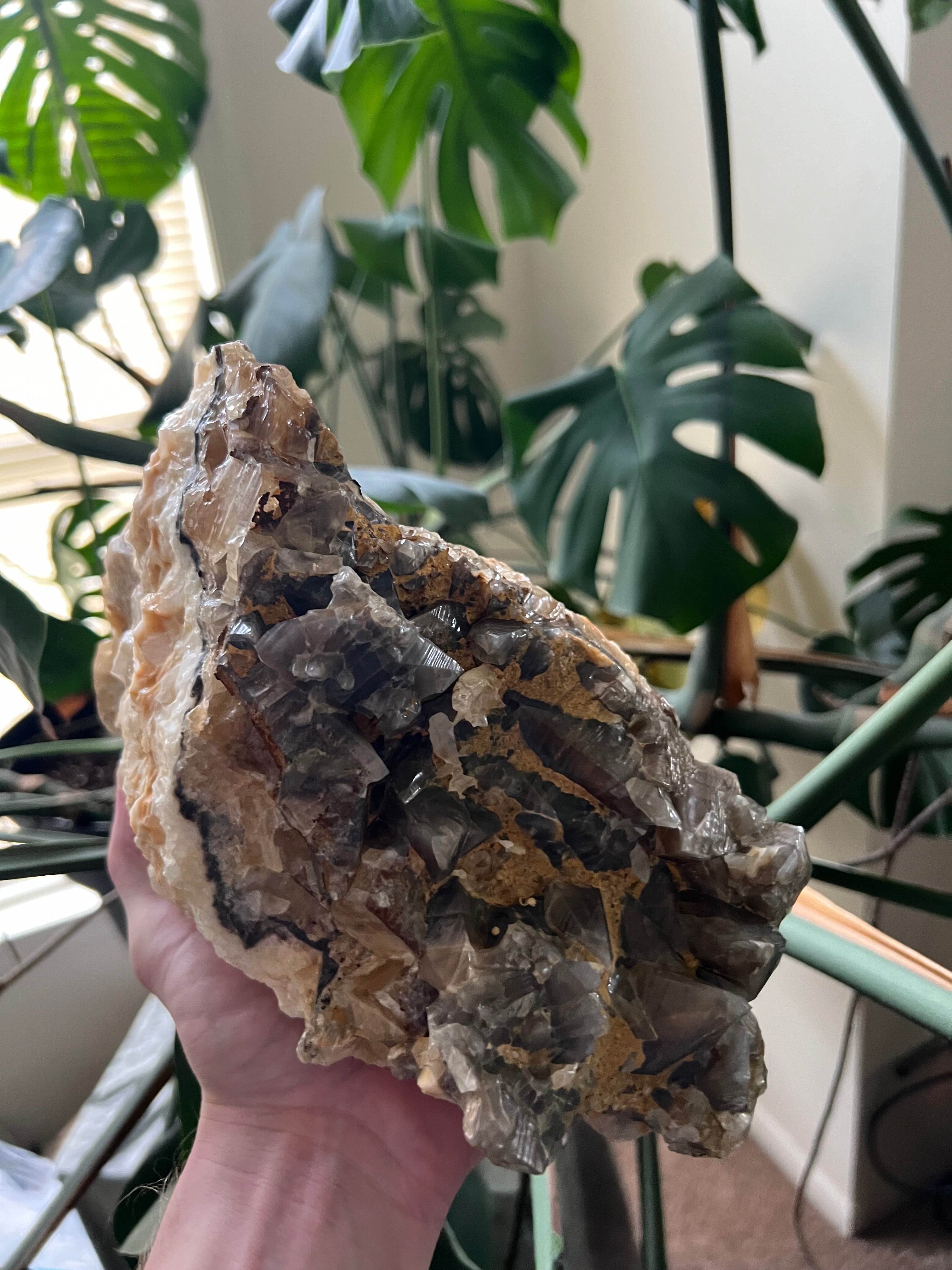 Dog Tooth Honey Calcite Cluster (12lbs)