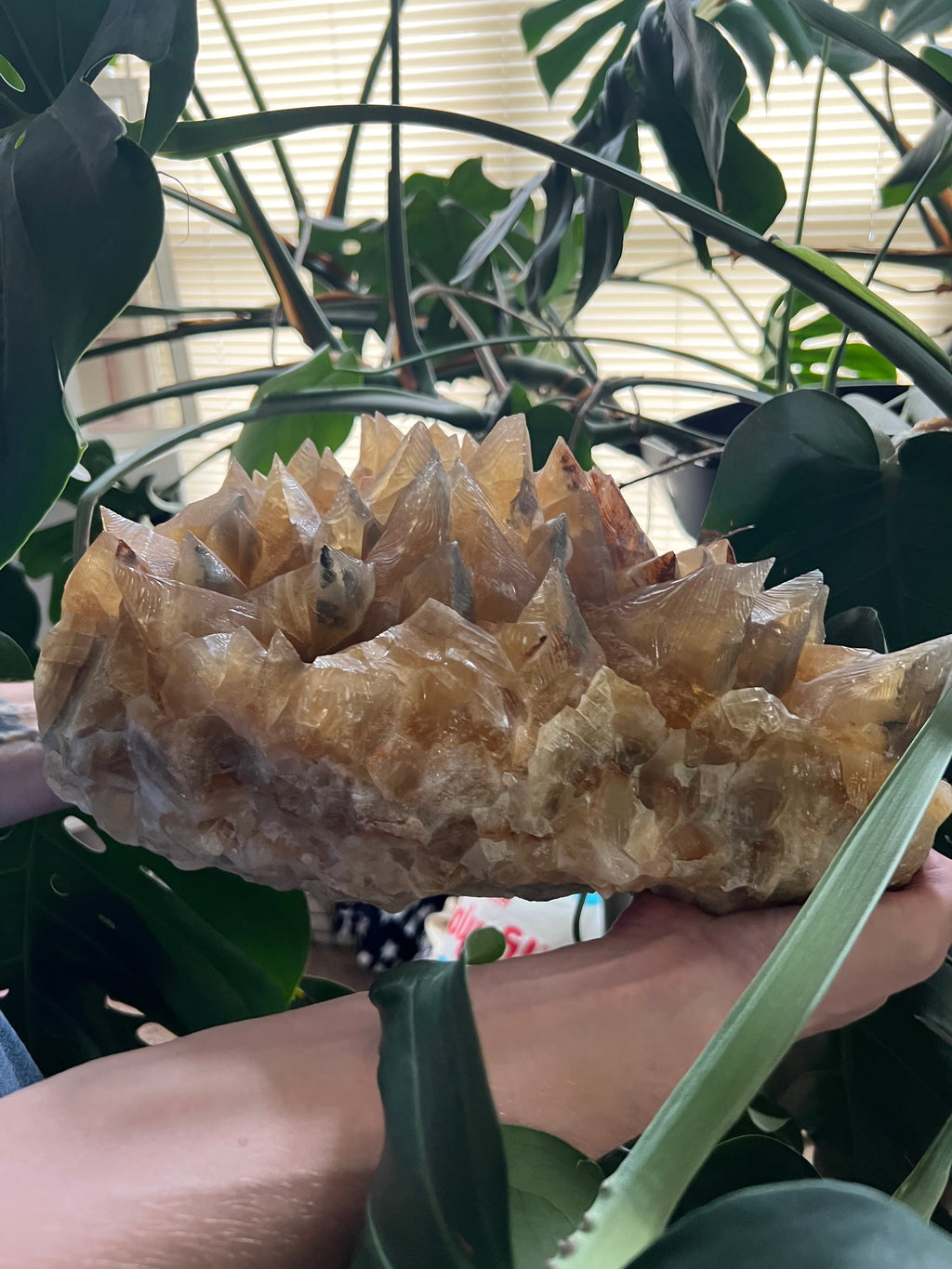 Dog Tooth Honey Calcite Cluster (31lbs)