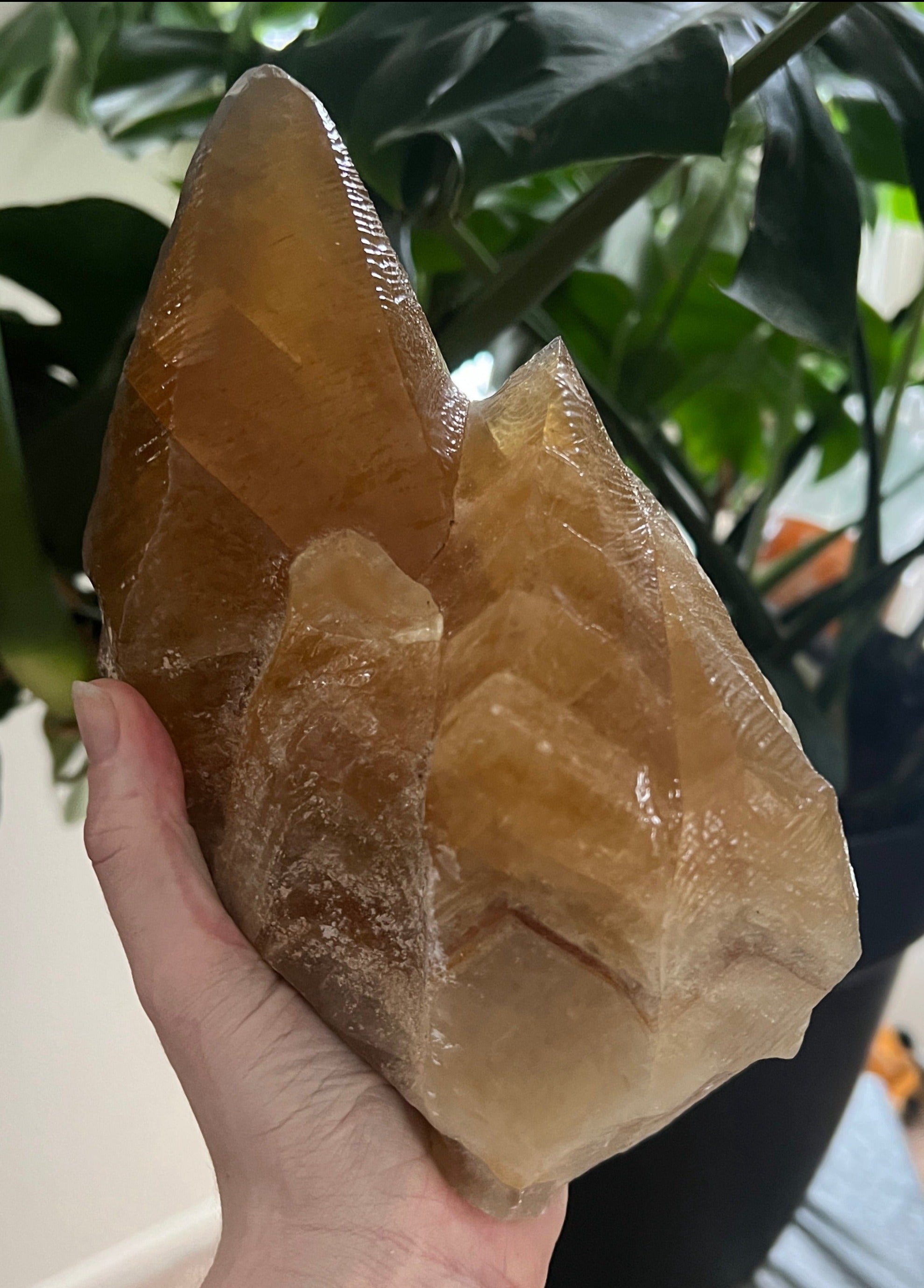 Dog Tooth Honey Calcite (6lbs)